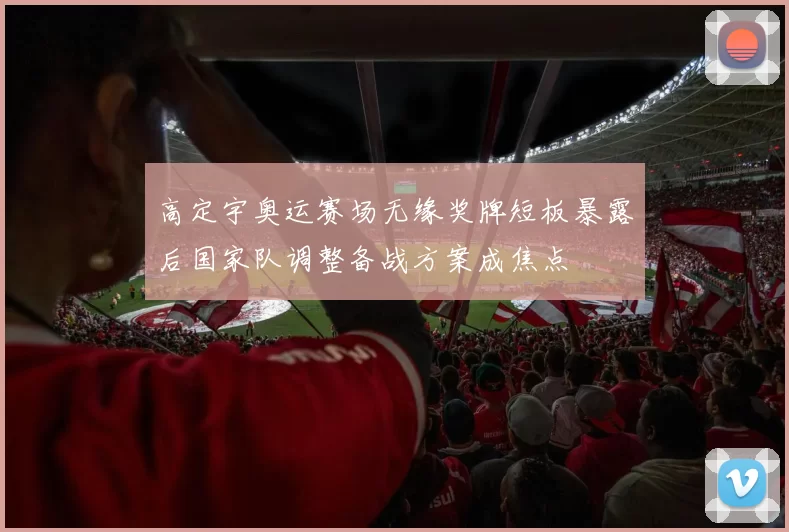 高定宇奥运赛场无缘奖牌短板暴露后国家队调整备战方案成焦点
