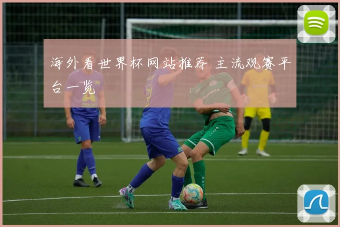 海外看世界杯网站推荐 主流观赛平台一览