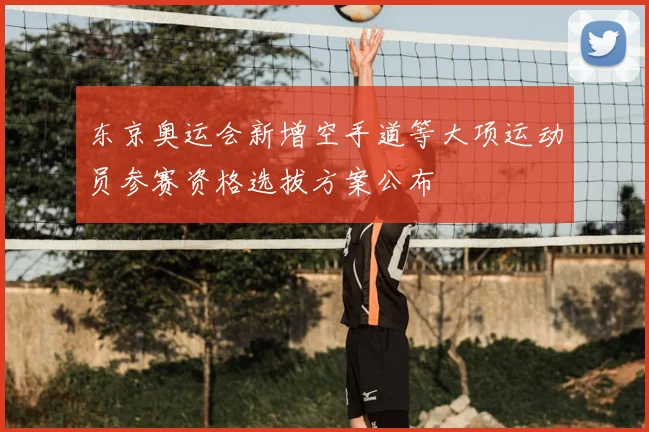 东京奥运会新增空手道等大项运动员参赛资格选拔方案公布