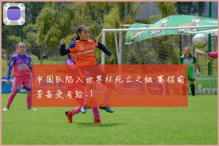 中国队陷入世界杯死亡之组 赛程前景备受考验_1